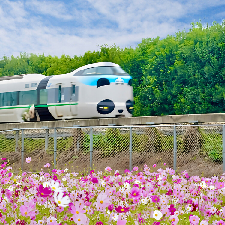 さたゆうさんの投稿/サントリービール京都工場 ｜ ことりっぷ