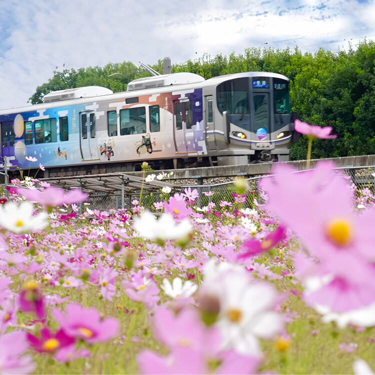 さたゆうさんの投稿/サントリービール京都工場 ｜ ことりっぷ