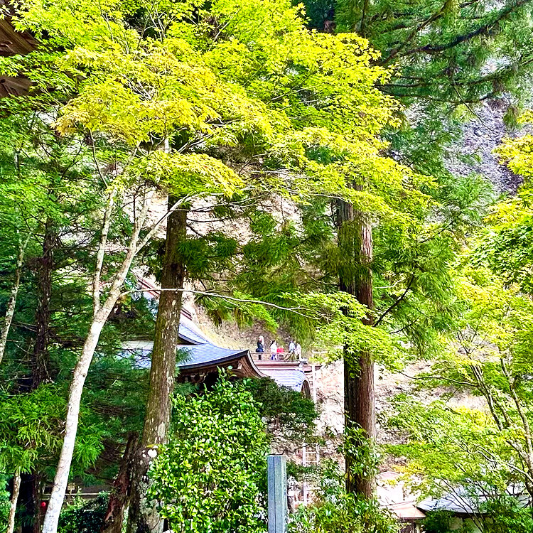 happyさんの投稿/岩屋寺 ｜ ことりっぷ