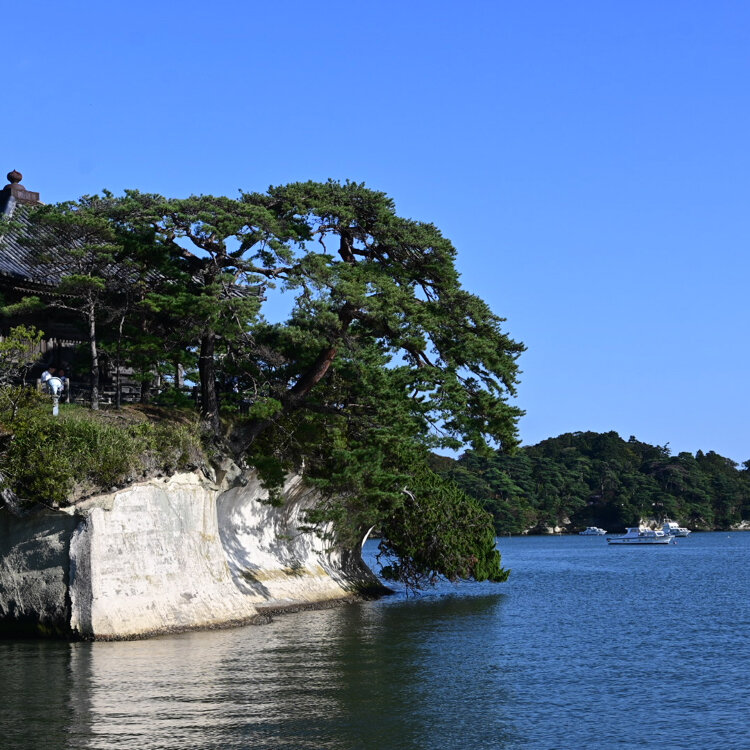 松島 観光桟橋前 水彩画(額入) 松島-6 島めぐり観光船a 中央観光桟橋 12時出航 ☆周回