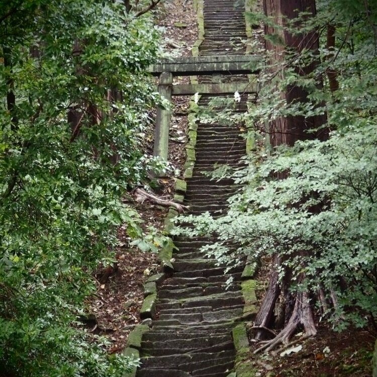 あんかつさんの投稿/那須温泉神社 ｜ ことりっぷ