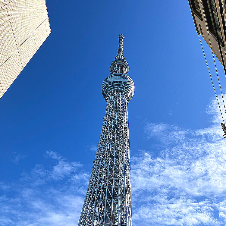 隅田川沿いスカイツリー眺望 - （東京都）の詳細情報 ｜ ことりっぷ