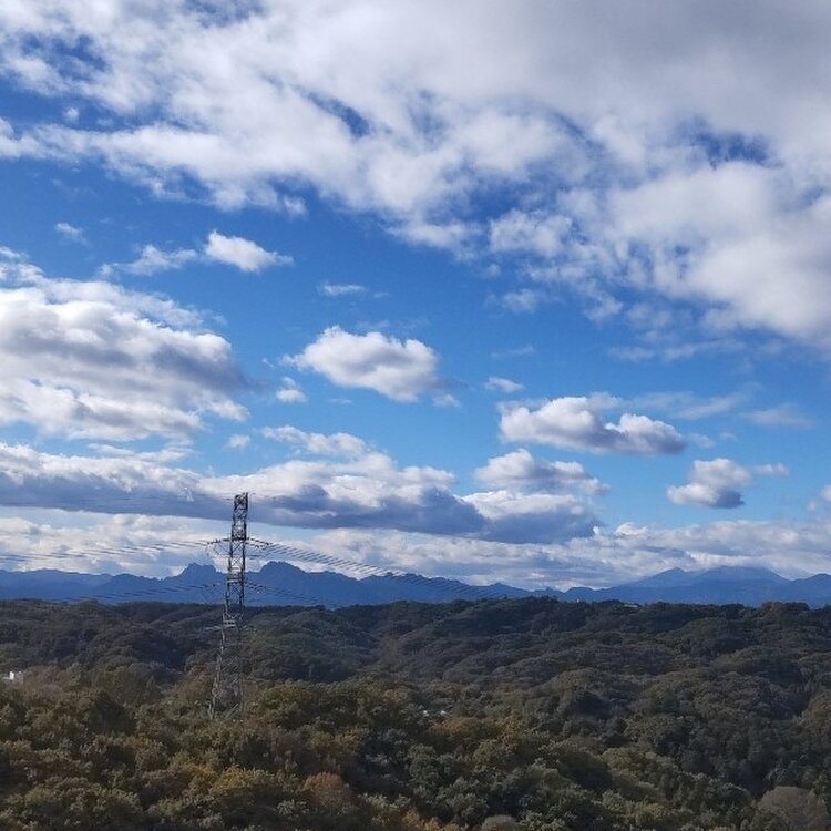 ぶぅぶさんの投稿/高崎白衣観音像 ｜ ことりっぷ