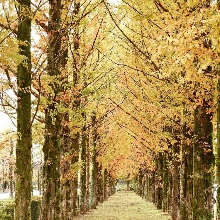 えこさんの投稿/富山県総合運動公園 ｜ ことりっぷ
