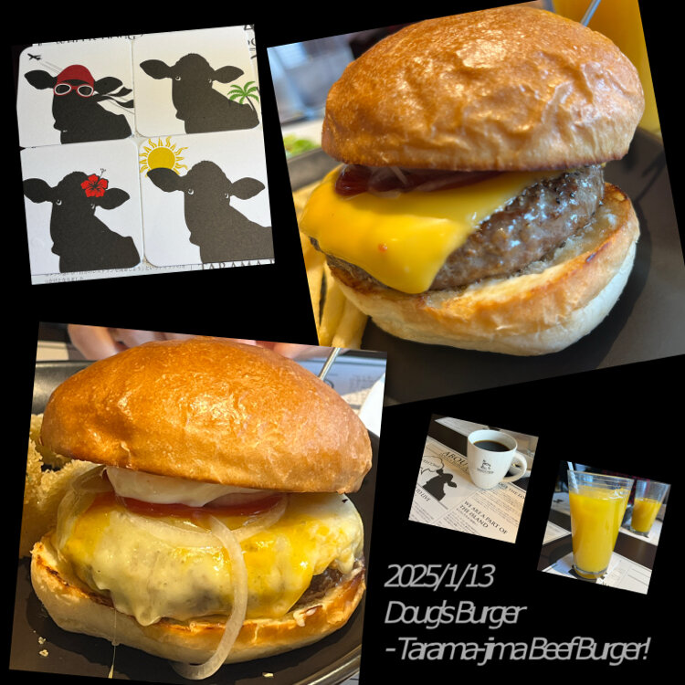 てらちゃんさんの投稿/ダグズ・バーガー宮古島本店 ｜ ことりっぷ