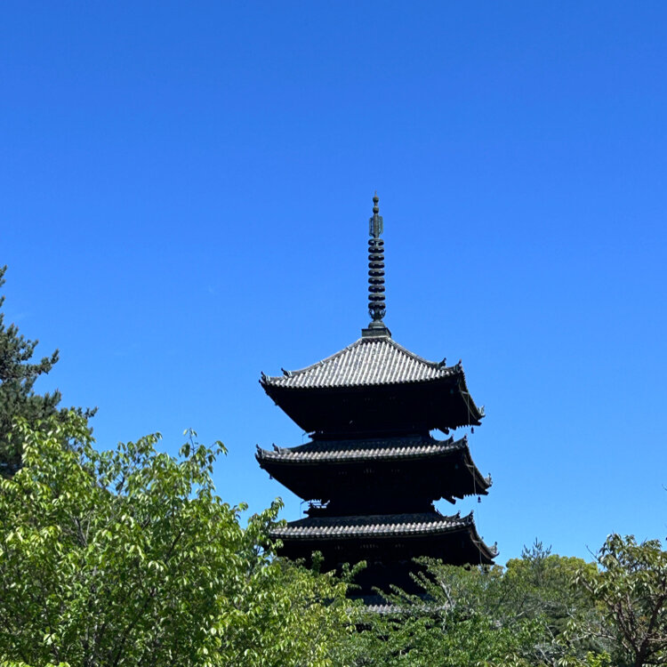 のんさんの投稿/仁和寺 ｜ ことりっぷ