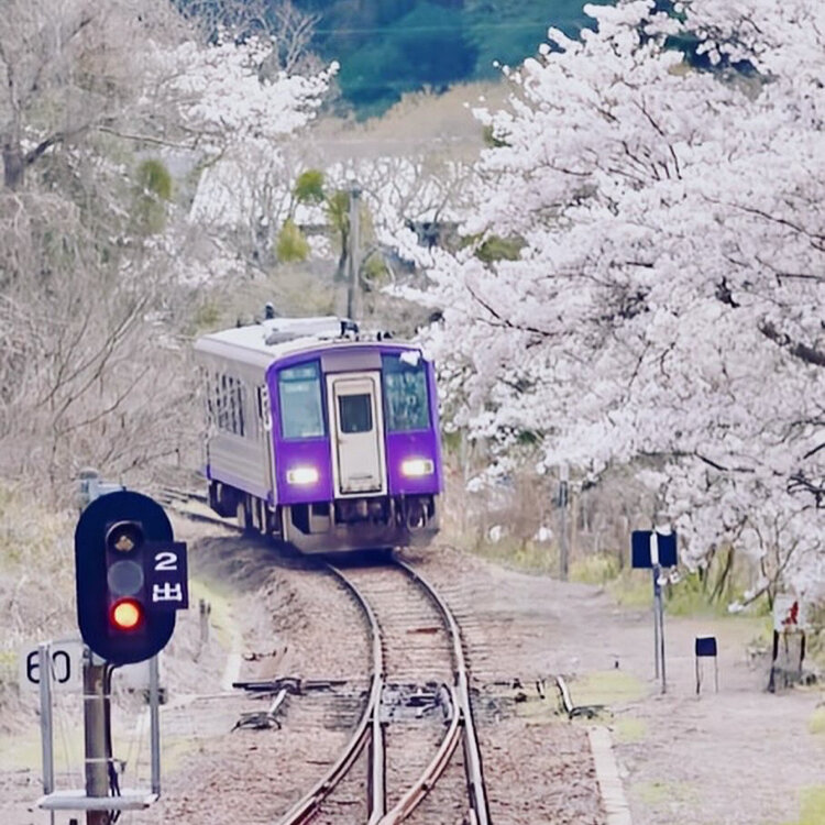 さたゆうの投稿