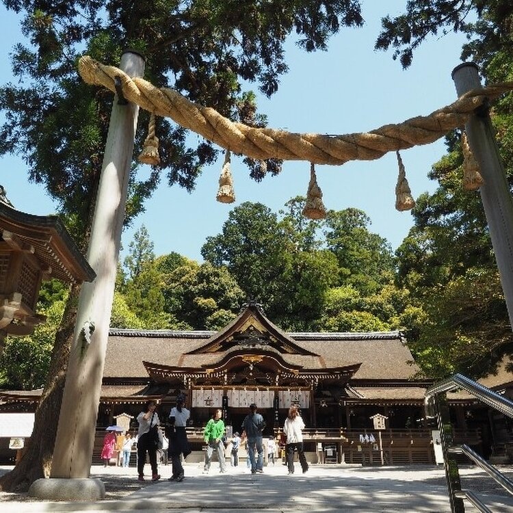 yellow poppy さんの投稿/大神神社 ｜ ことりっぷ