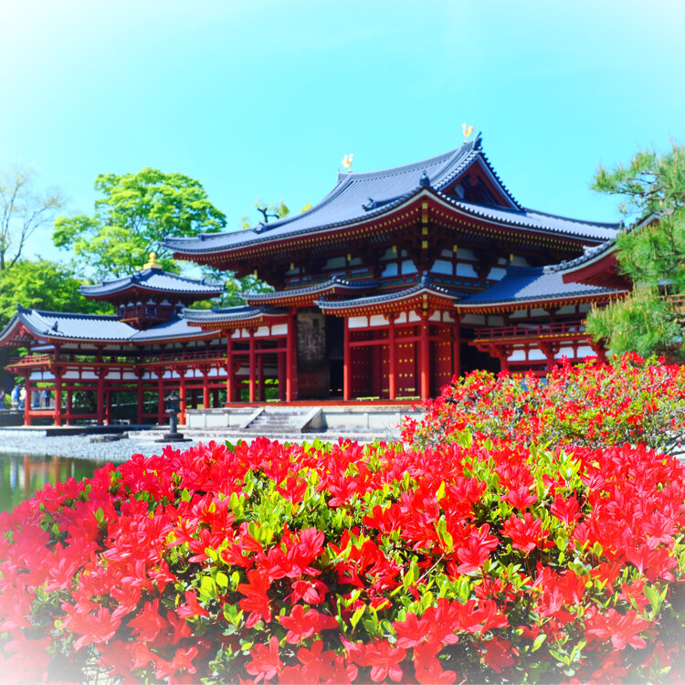 姫路城・平等院鳳凰堂 平等院 鳳凰堂