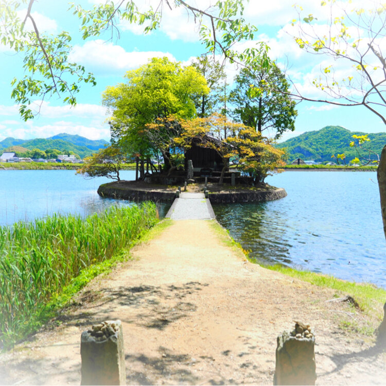kikumaru45さんの投稿/須濱神社 ｜ ことりっぷ