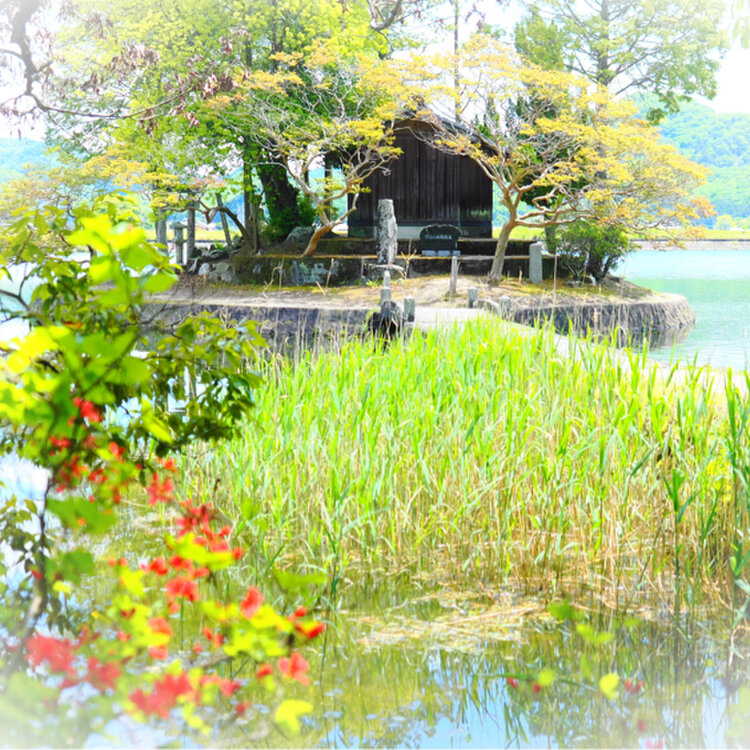 kikumaru45さんの投稿/須濱神社 ｜ ことりっぷ