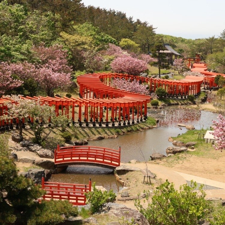 千本裕三、【紅葉の境内（談山神社）】、希少な大判額装用画集より、美品、日本人画家 千本裕三、【紅葉の境内（談山神社）】、希少な大判額装用画集