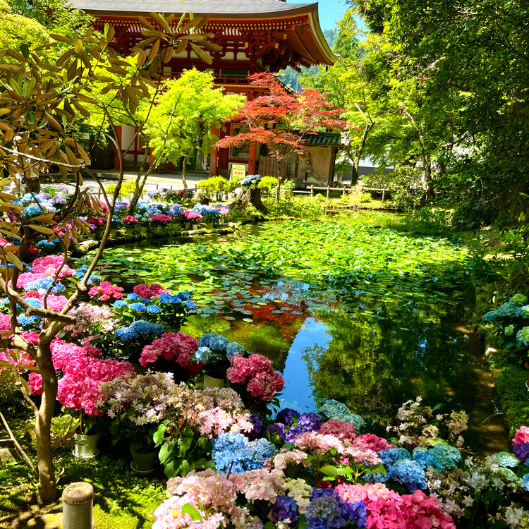写真集　古書　寺　景色 光村推古書院】京都らしい紅葉の景色を集めた写真集『京都の意匠