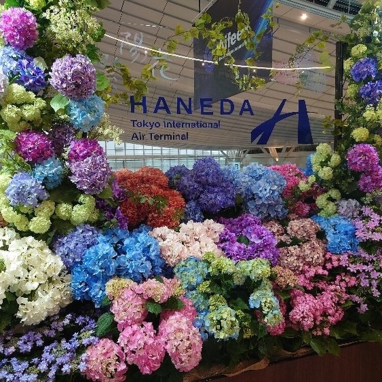 <6月限定>1/400 羽田空港第三ターミナル マット 230cm×120cm 羽田空港第1ターミナル北側サテライト施設は木造・鉄骨