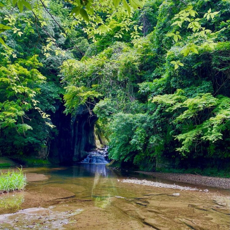 かめ壷洞窟じよくせい Mysterious 6m Underground Cave Search