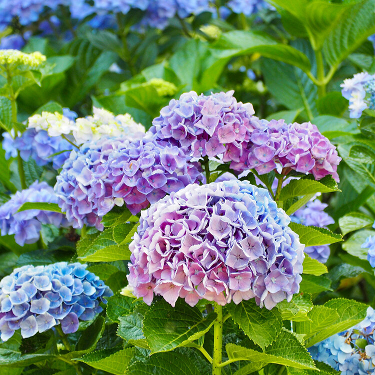 さきさんの投稿/The Day Osaka ｜ ことりっぷ