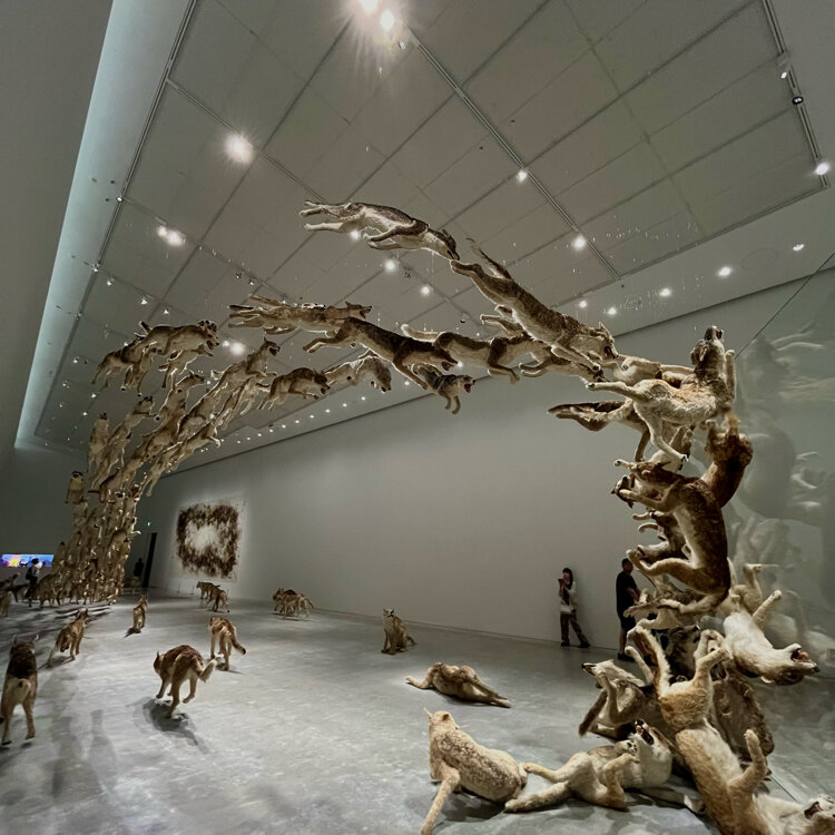 不思議な小動物のオブジェ yorkeさんの投稿 ｜ ことりっぷ