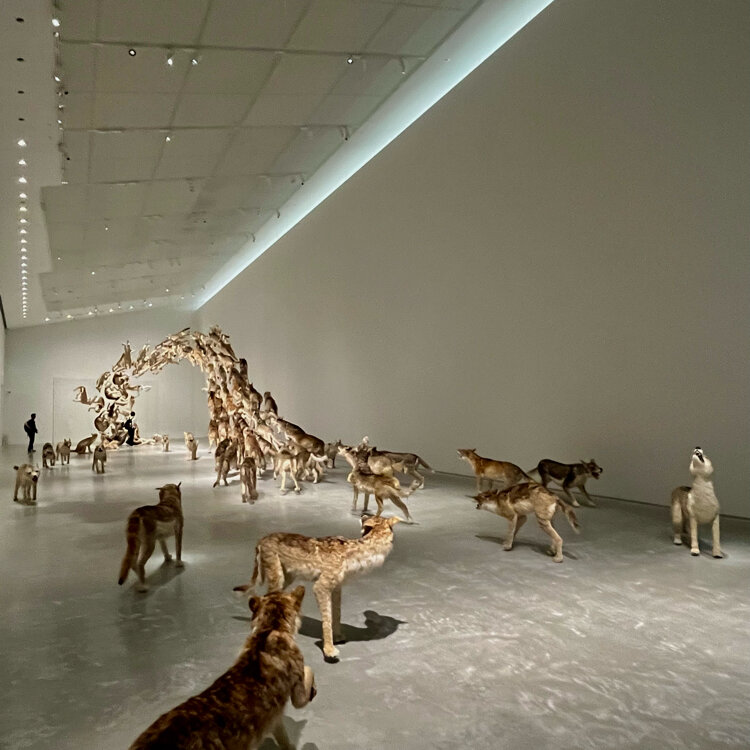 不思議な小動物のオブジェ yorkeさんの投稿 ｜ ことりっぷ