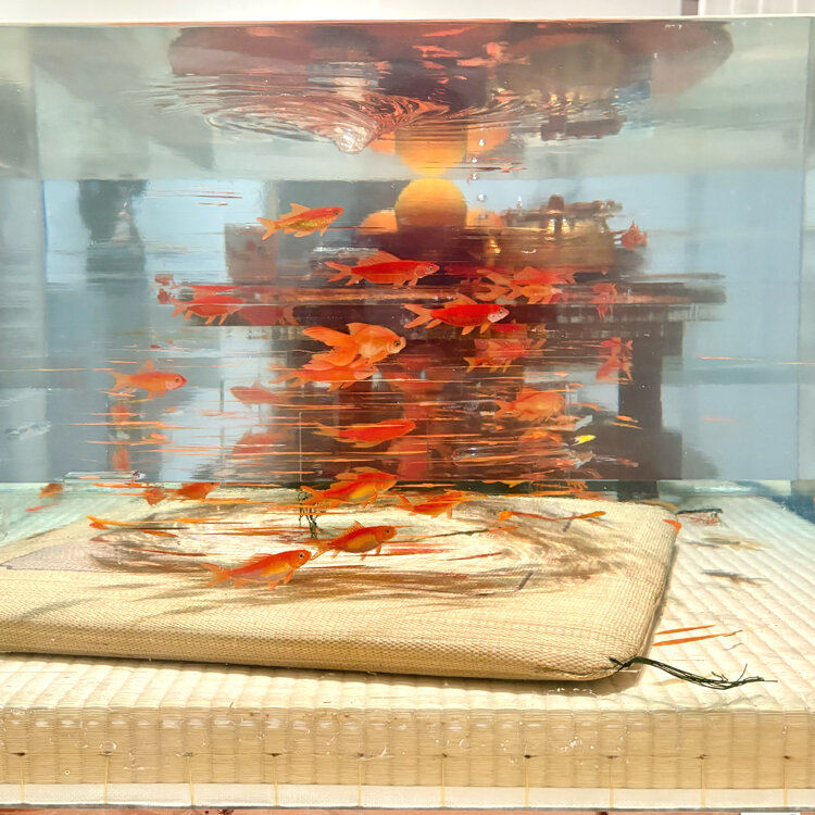 カンボジア　ストリートアーティスト　3枚セット　絵画　油絵　金魚　顔　龍 涼しさ届ける金魚アート - YouTube