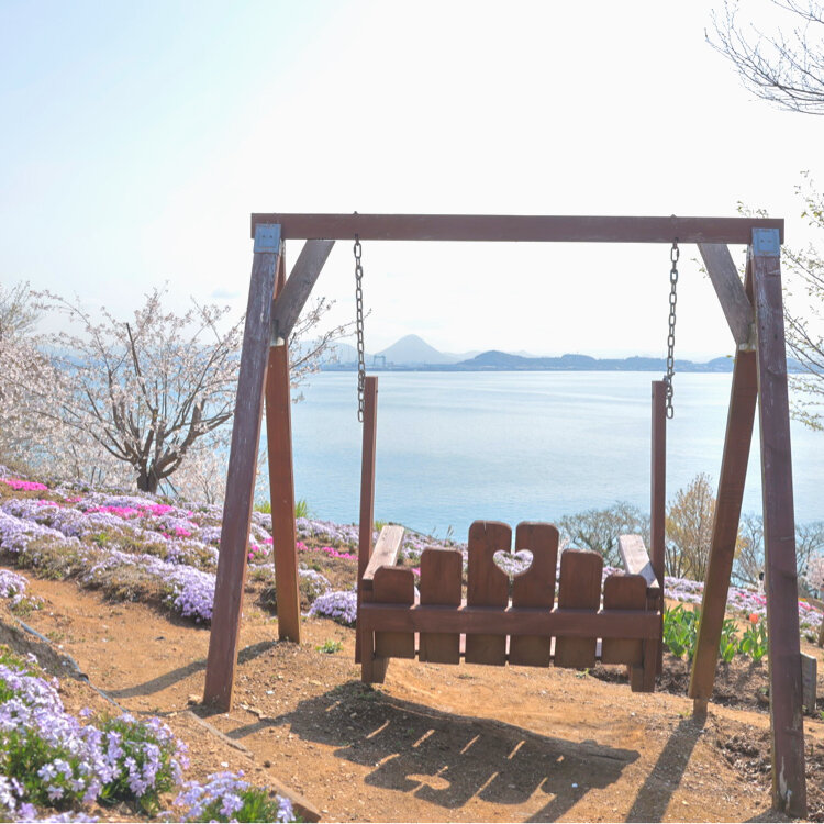 umecherryさんの投稿/天空の花畑 ｜ ことりっぷ