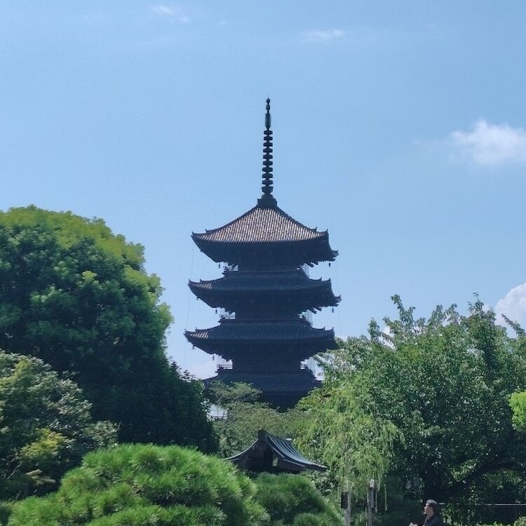 haru.さんの投稿/朝霧橋 ｜ ことりっぷ