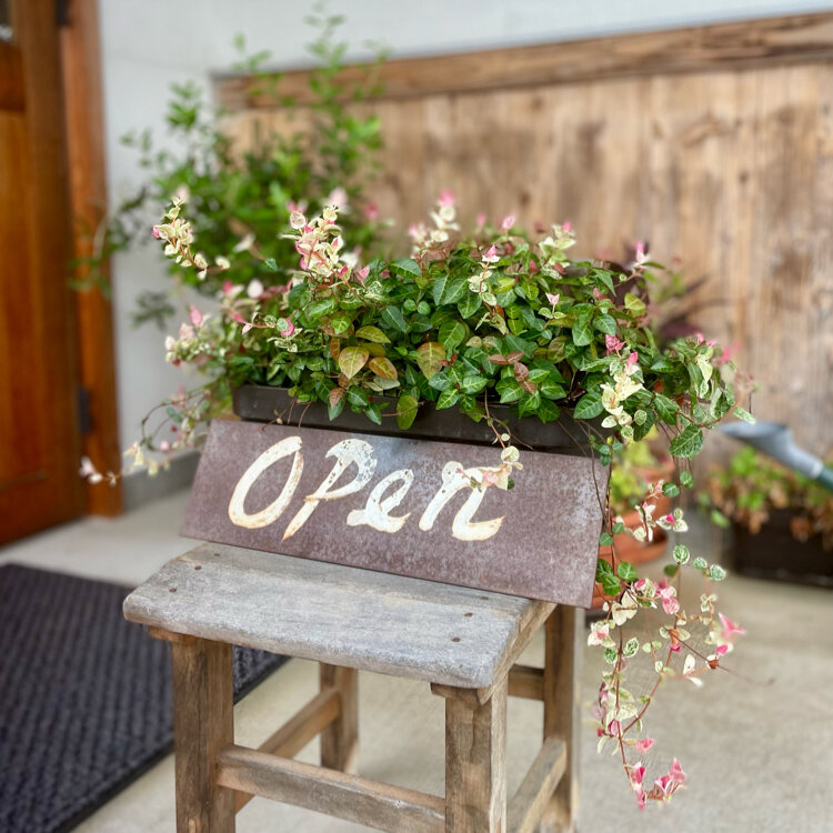 ドルチェ - （山形県）の詳細情報 ｜ ことりっぷ