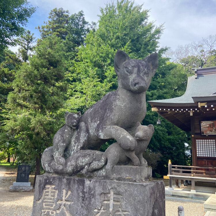 退会したユーザーさんの投稿/女化神社 ｜ ことりっぷ