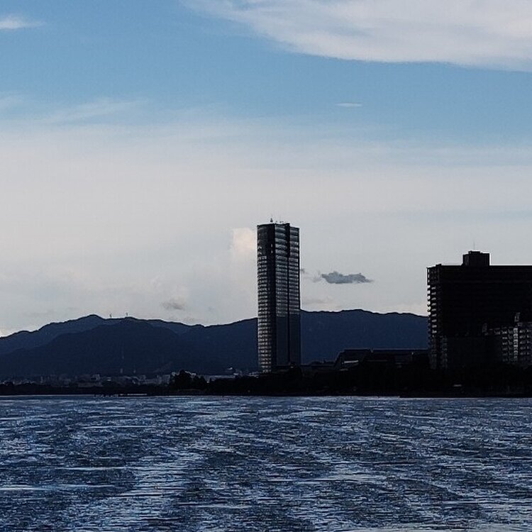 「大型 大津市 池田油店 種油 広告版木」１枚|木版刷り 滋賀県 琵琶湖 大型 大津市 池田油店 種油 広告版木」1枚|木版刷り
