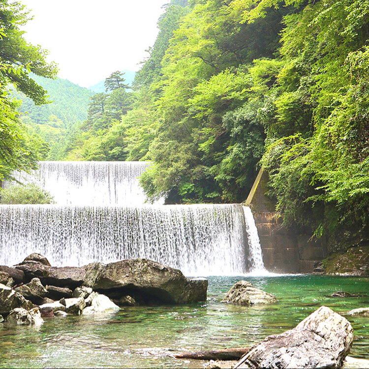 中村左洲　 滝の風景 中村左洲 滝の風景 As we walked through the valley, we