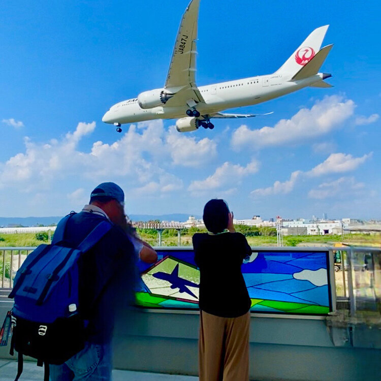 さたゆうさんの投稿/豊中つばさ公 『ma-zika』 ｜ ことりっぷ