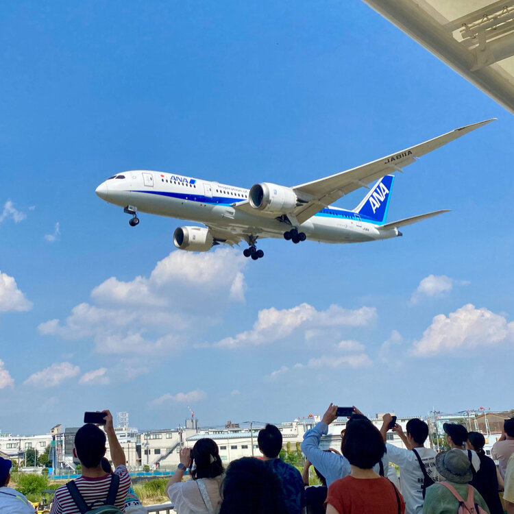 さたゆうさんの投稿/豊中つばさ公 『ma-zika』 ｜ ことりっぷ