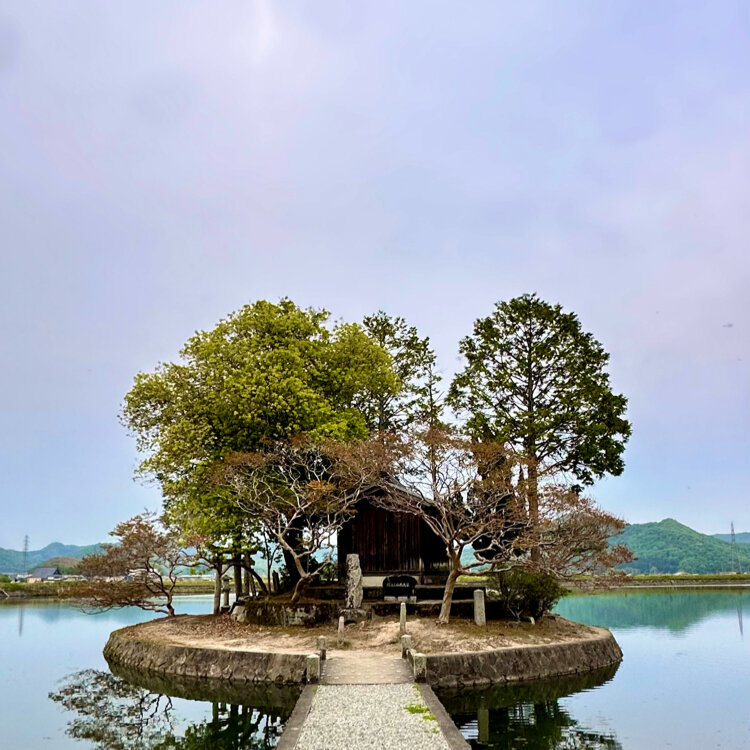 甲子園 Isuzu-36-Meter-Aerial-Work-