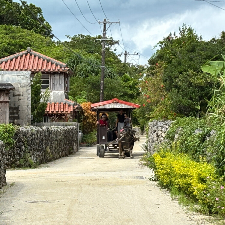 サリーさんの投稿/竹富島 ｜ ことりっぷ