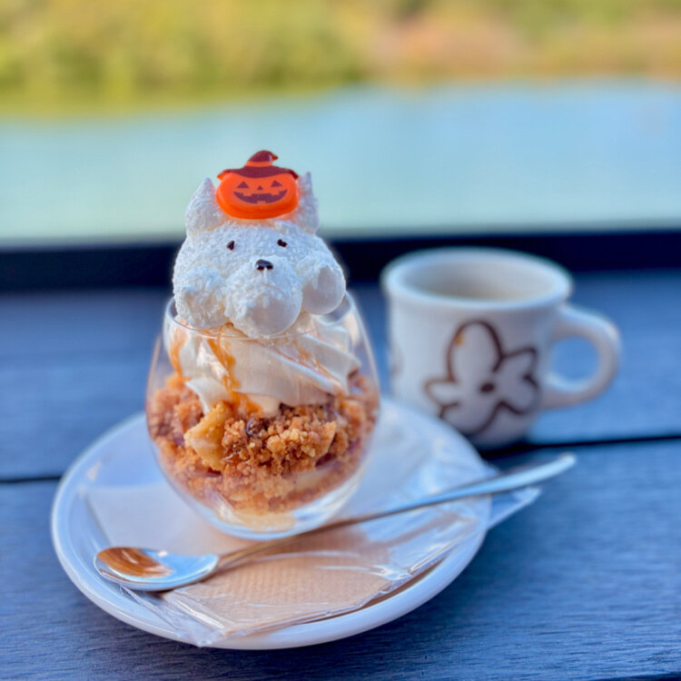 さたゆうの投稿