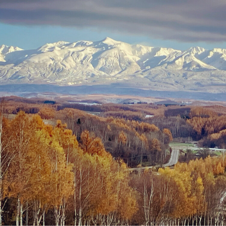 alielさんの投稿/四季彩の丘 ｜ ことりっぷ