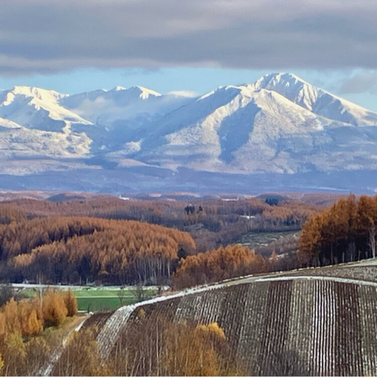 alielさんの投稿/四季彩の丘 ｜ ことりっぷ