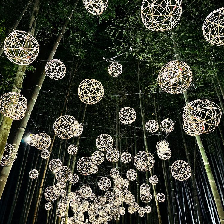 くまノートの投稿