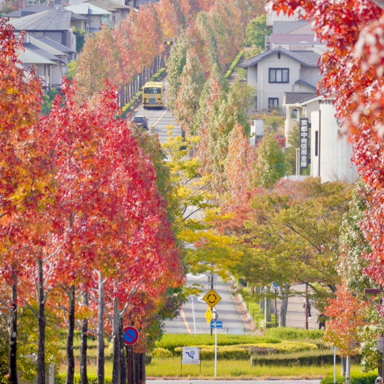 さたゆうの投稿