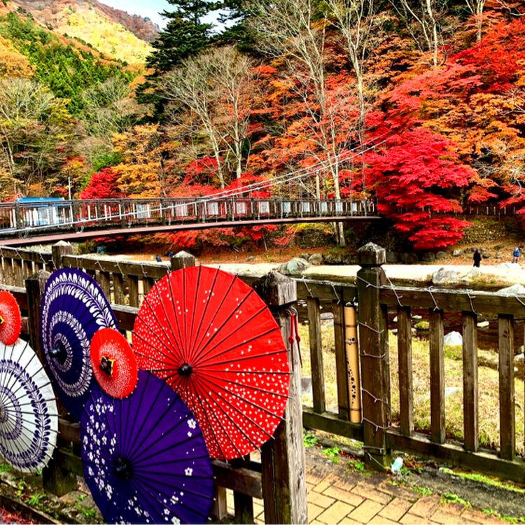 nao0228さんの投稿/谷中湖（渡良瀬遊水池） ｜ ことりっぷ