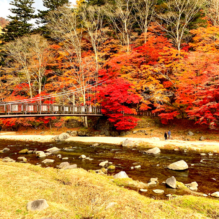 nao0228さんの投稿/谷中湖（渡良瀬遊水池） ｜ ことりっぷ