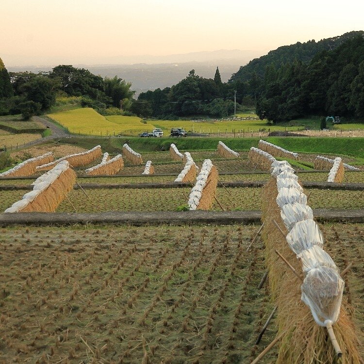 matu17さんの投稿/西郷隆盛銅像 ｜ ことりっぷ