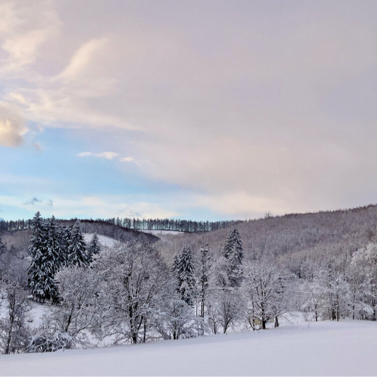 Cooさんの投稿/麓郷展望台 ｜ ことりっぷ