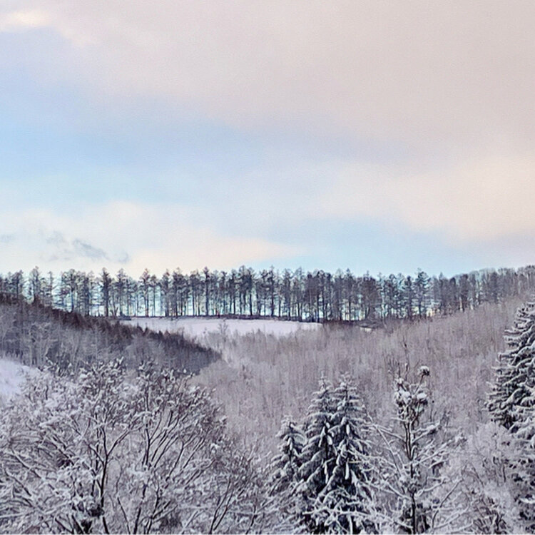 Cooさんの投稿/麓郷展望台 ｜ ことりっぷ