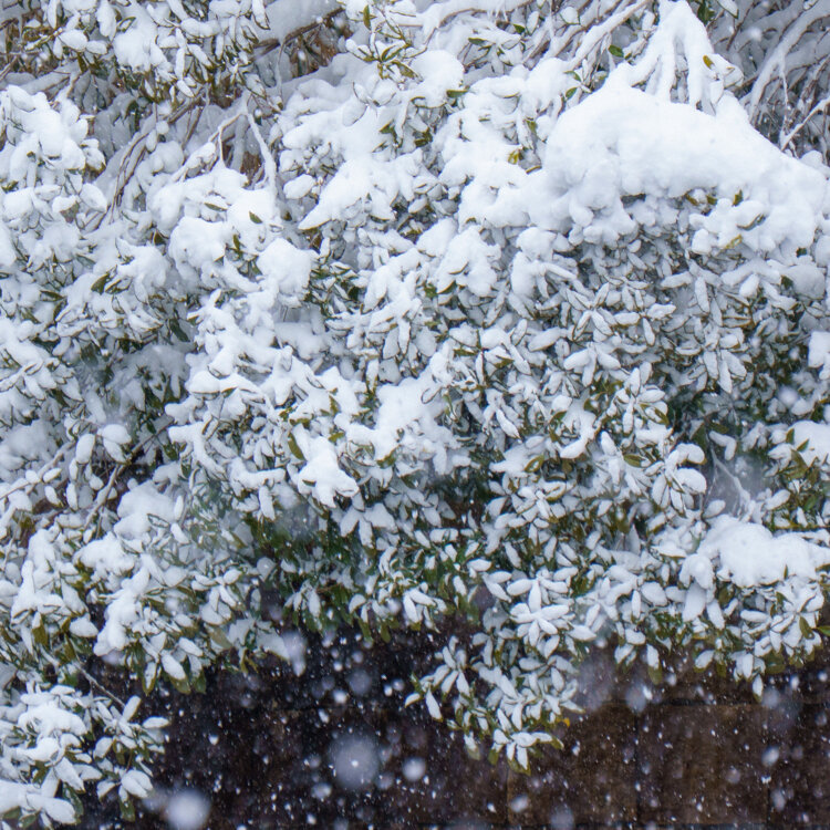 かなさんの投稿/ミホミュージアム ｜ ことりっぷ