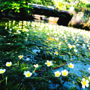 梅花藻の旅 おでかけ情報 37件 ことりっぷ編集部おすすめ