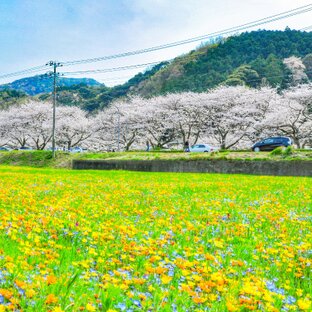 フリーワード検索 ことりっぷ