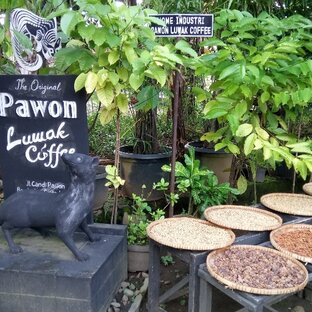 Pawon Coffee