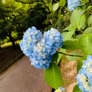 信貴 生駒のおすすめ風景 景色情報 78件 ことりっぷ編集部おすすめ