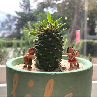 ぽんさんの投稿 川添フルーツ ことりっぷ