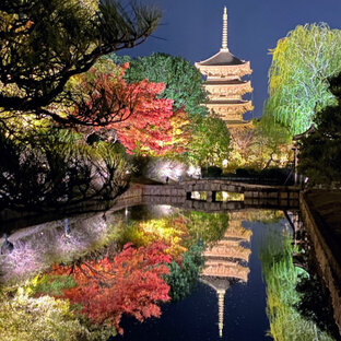 東寺ライトアップ22の旅 おでかけ情報 2件 ことりっぷ編集部おすすめ